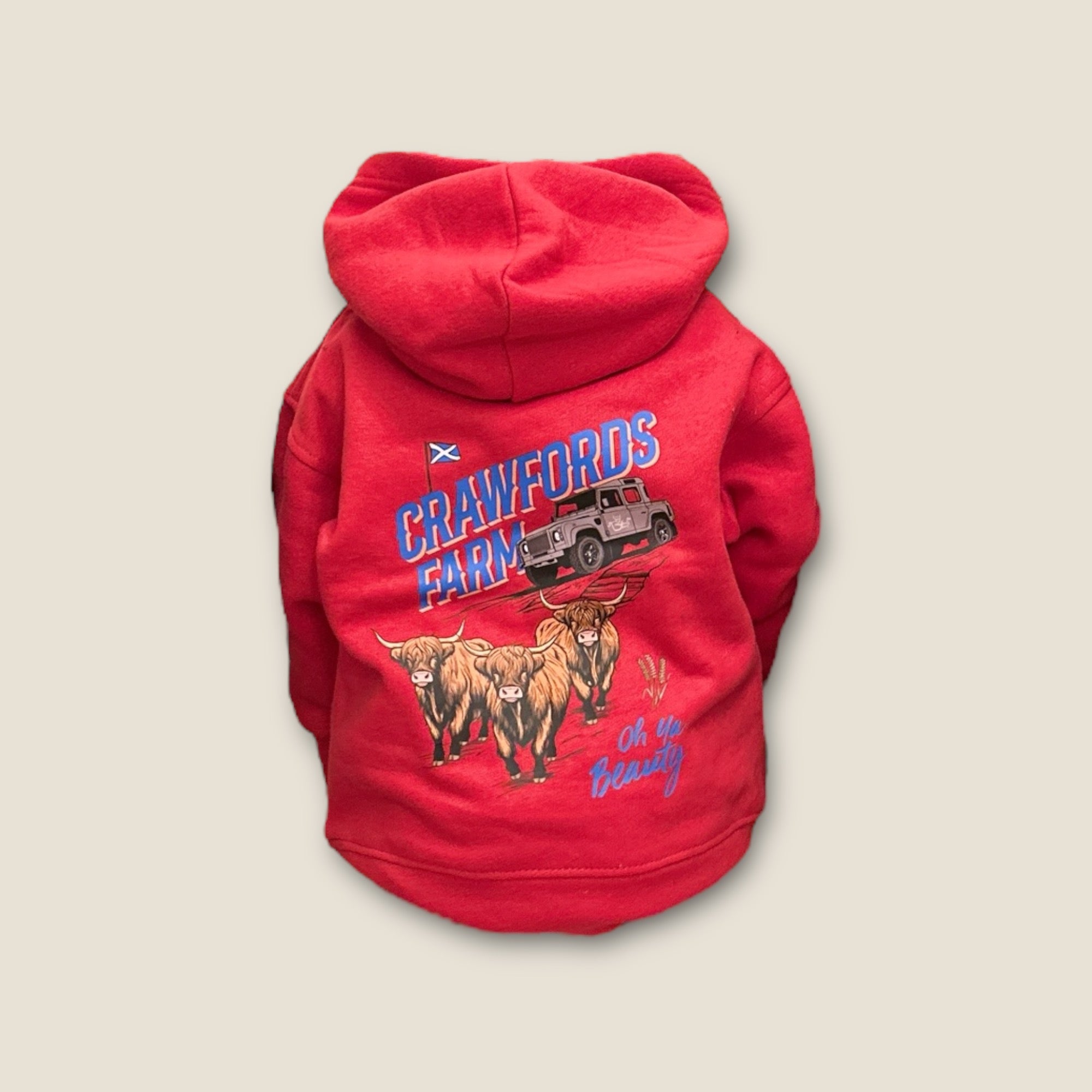 CrawfordFarm Kids Print Hoodie
