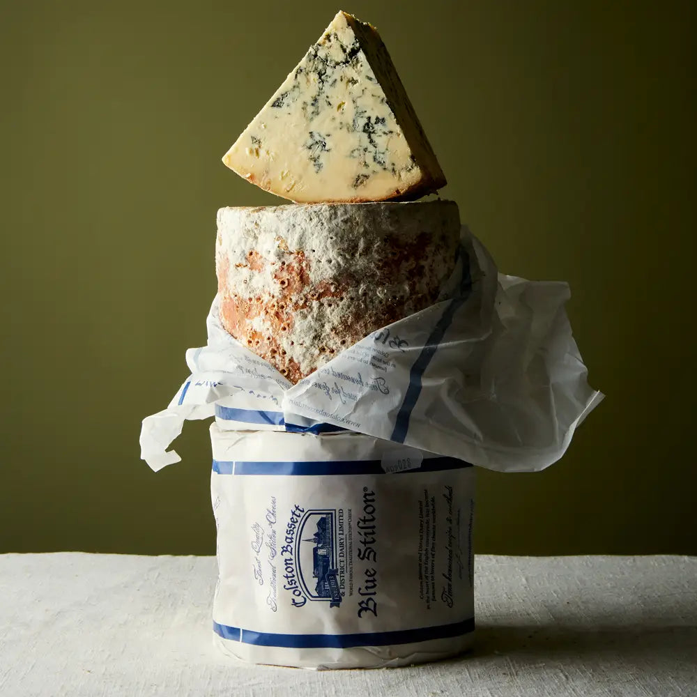 Baby Colston Basset Stilton 2.2kg
