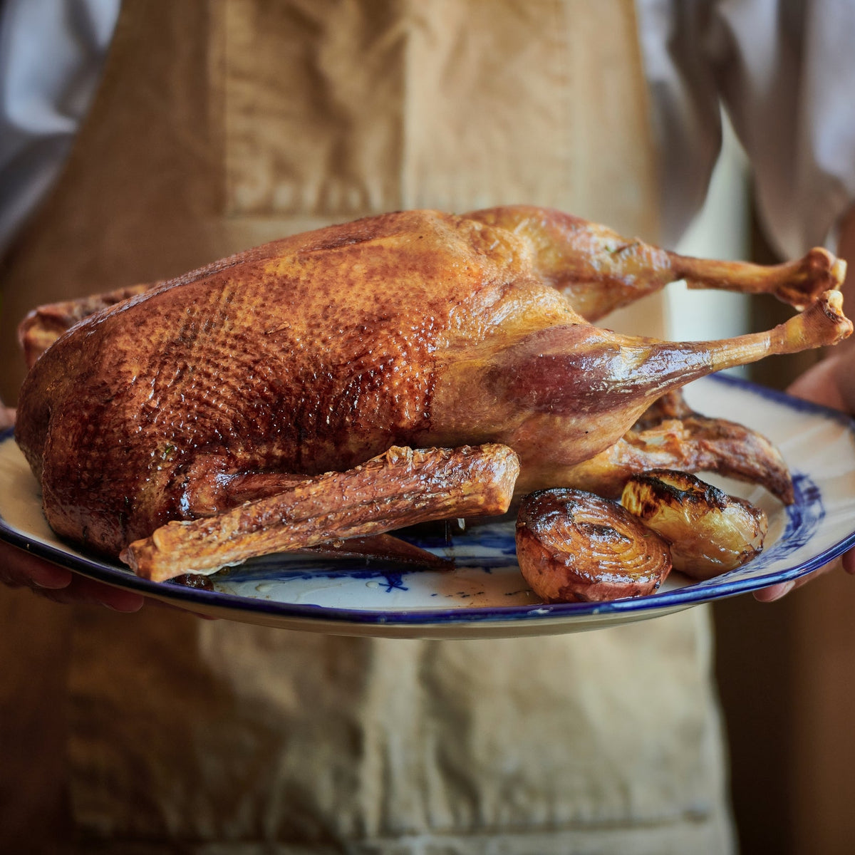 Gressingham Goose