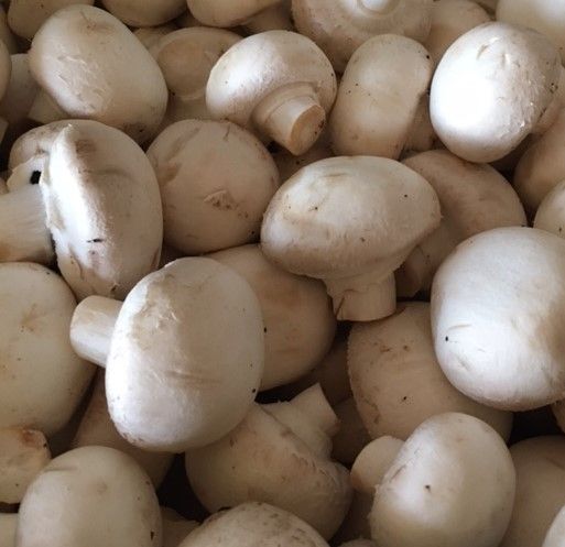 Mushrooms 250g