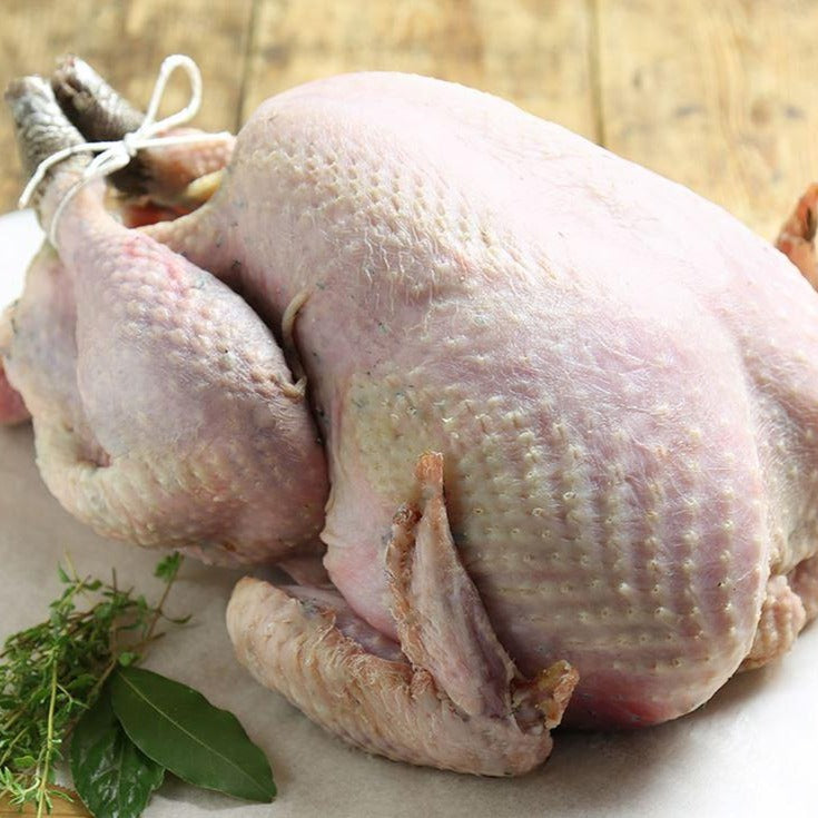 Thanksgiving Maryfield Bronze Free Range Turkey 4kg