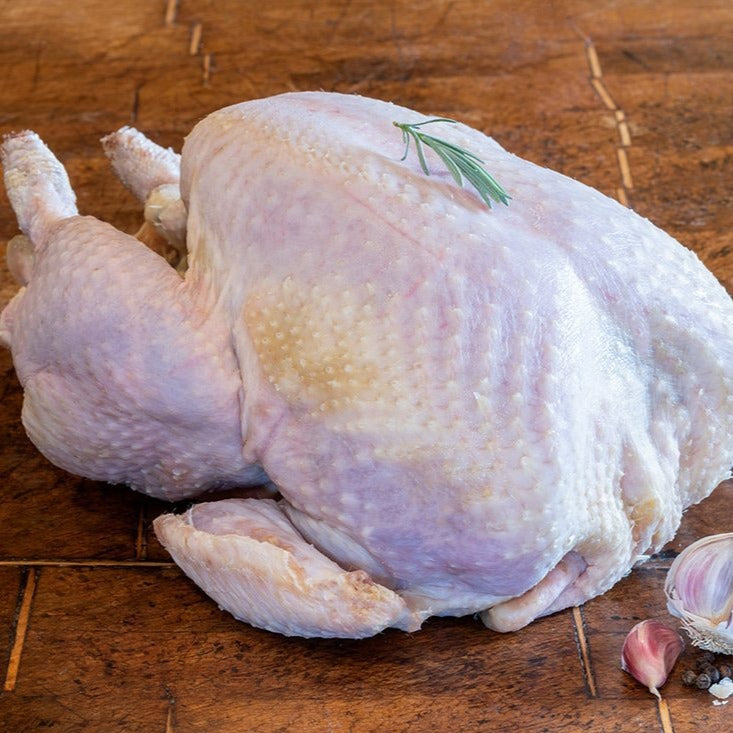 Whole White Turkey