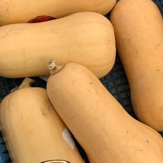 Butternut Squash