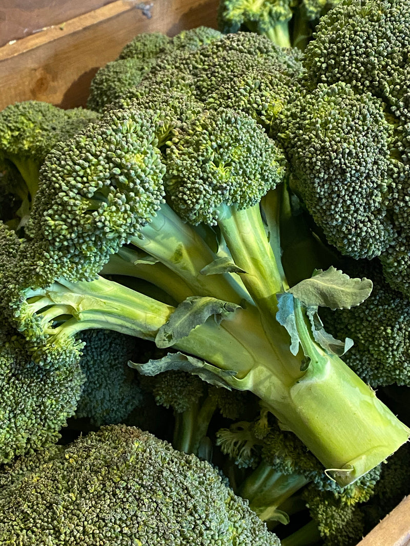 Broccoli