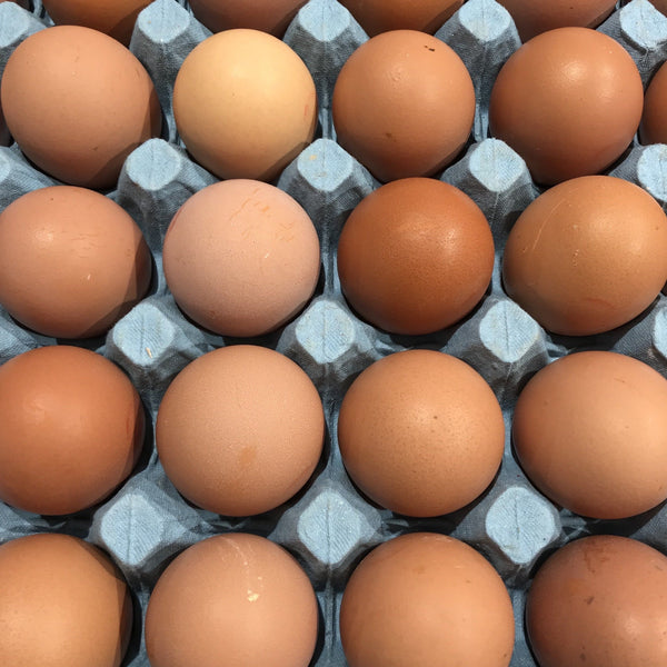 6 Medium Eggs